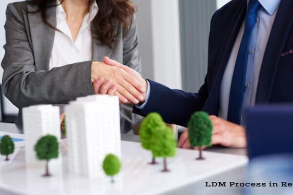 LDM Process in Real Estate