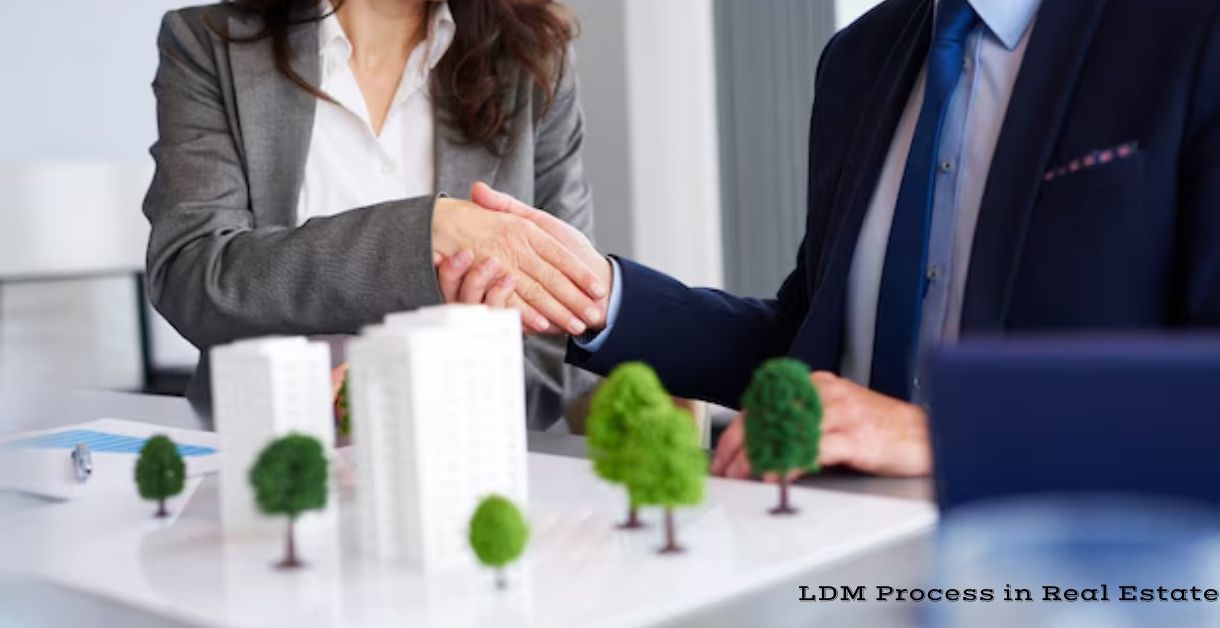 LDM Process in Real Estate