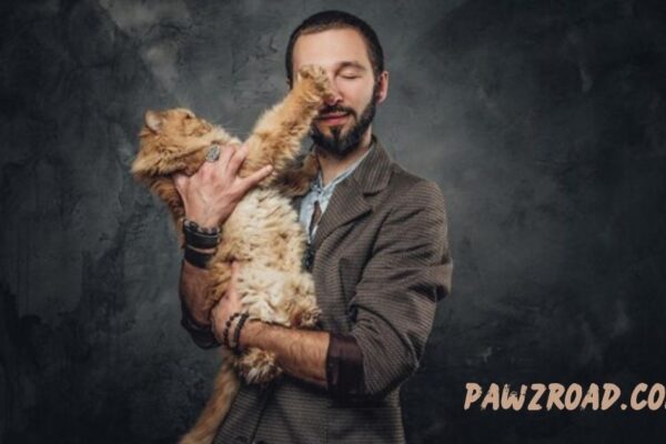 pawzroad.com ceo